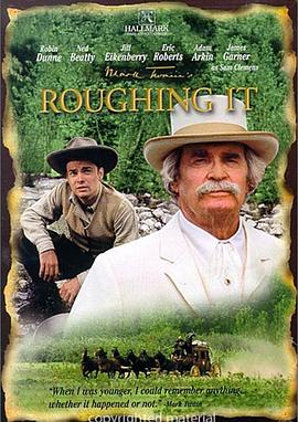 淘金岁月封面图