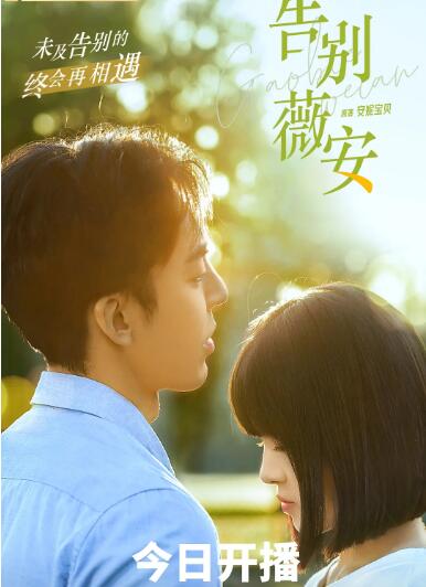 告别薇安封面图