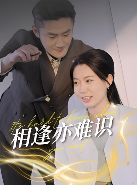 相逢亦难识封面图