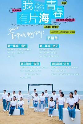 我的青春有片海封面图