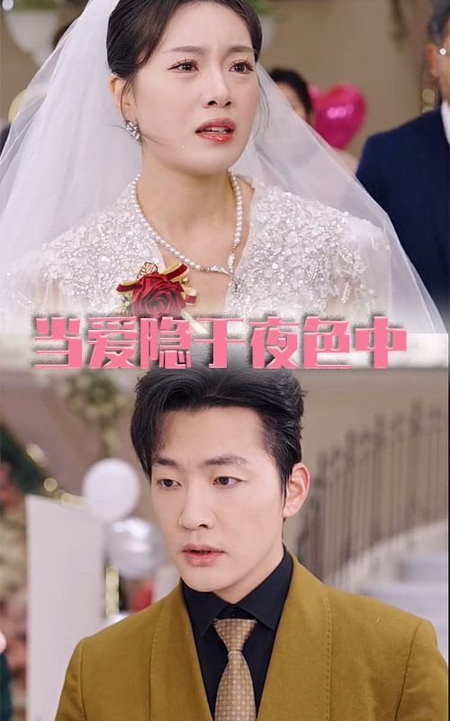 当爱隐于夜色中封面图