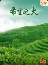 希望之火封面图