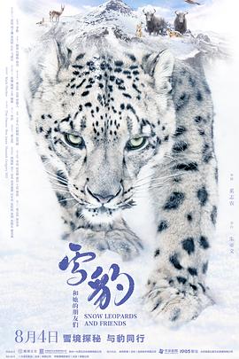 雪豹和她的朋友们[预告片]封面图