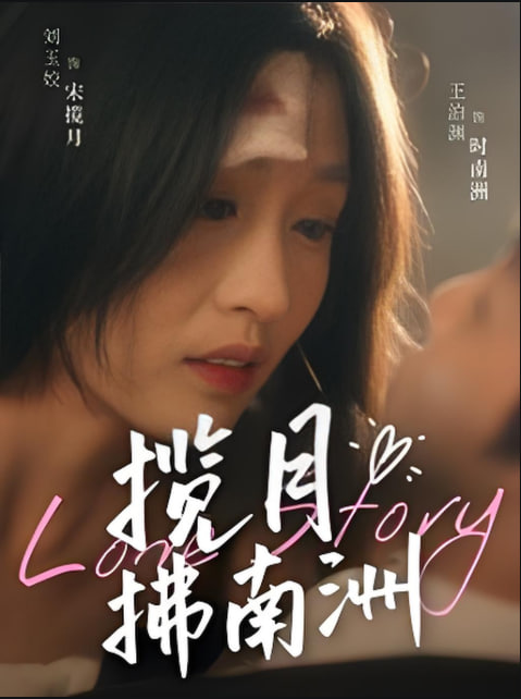 揽月拂南洲封面图