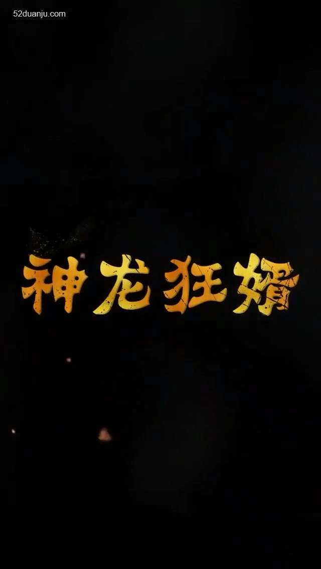 神龙狂婿合集版封面图