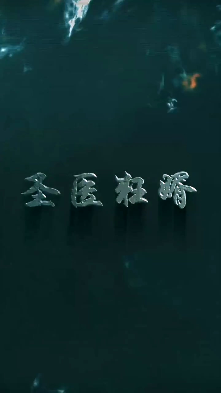 圣衣狂婿封面图