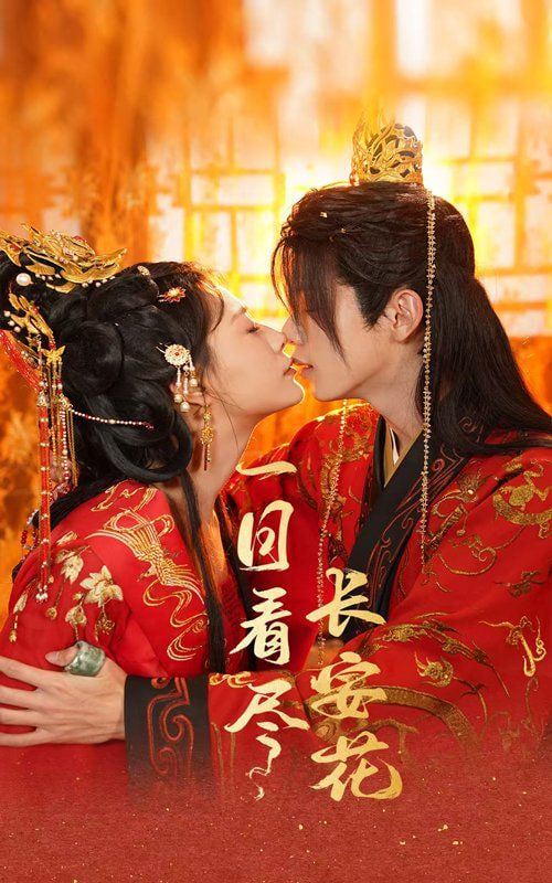 一日看尽长安花封面图