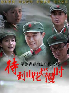 待到山花烂漫时封面图