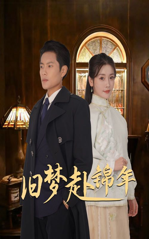 旧梦赴锦年封面图