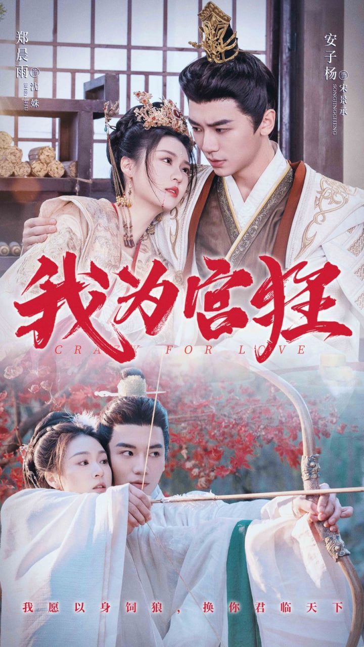 我为宫狂封面图