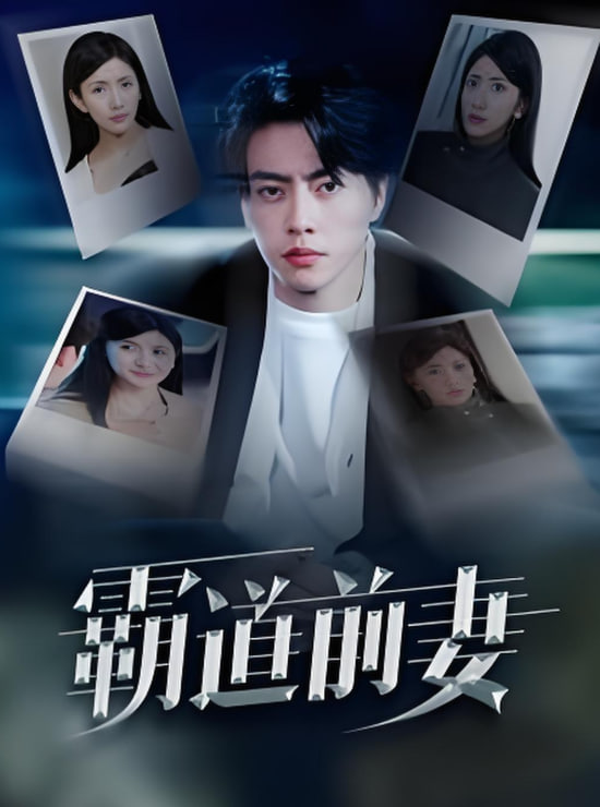 霸道前妻封面图