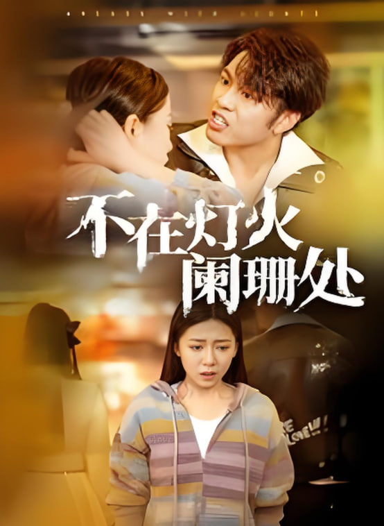 不在灯火阑珊处封面图