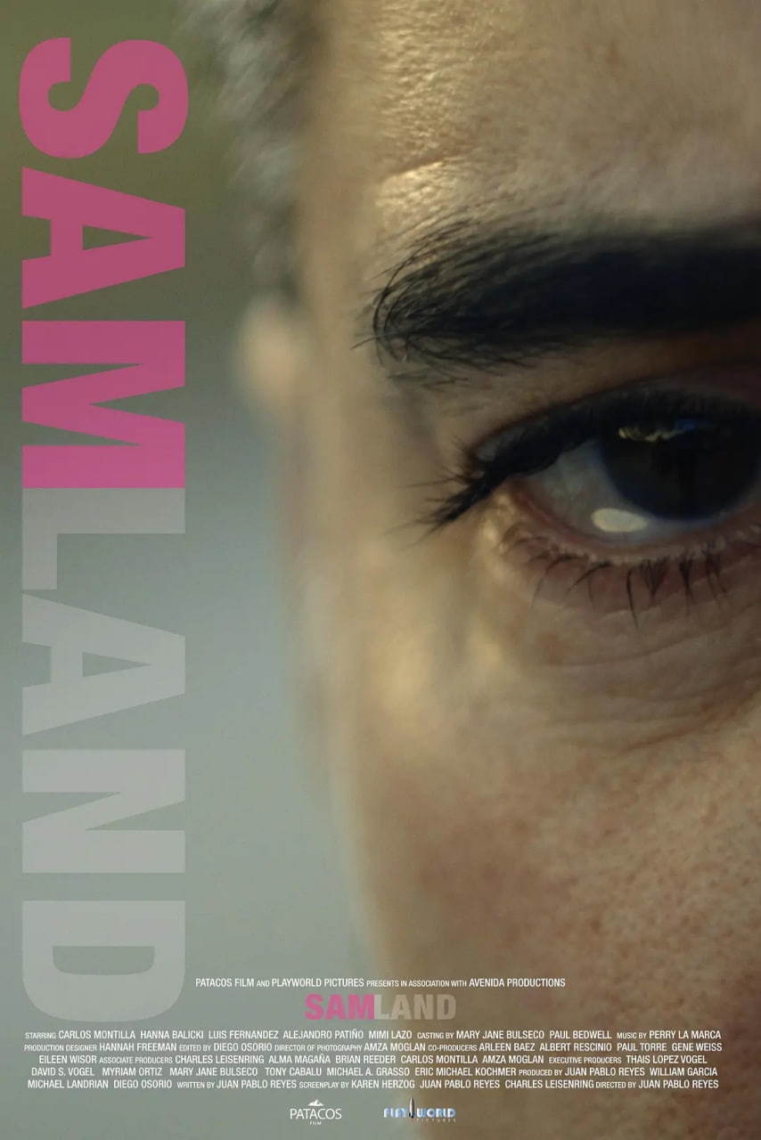 萨姆兰 Samland 2021封面图