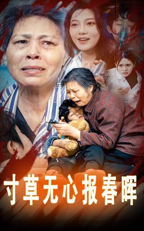 寸草无心报春晖封面图