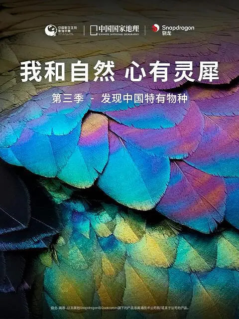 我和自然 心有灵犀 第三季封面图