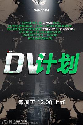 DV计划封面图