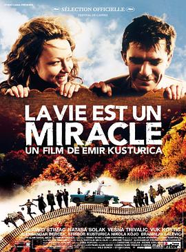 生命是个奇迹2004封面图