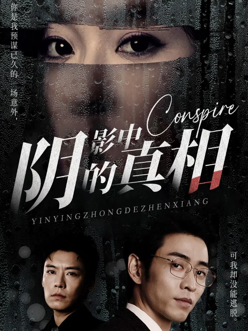 阴影中的真相封面图