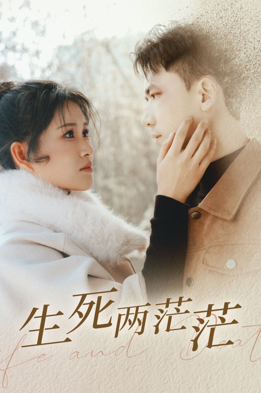 生死两茫茫封面图