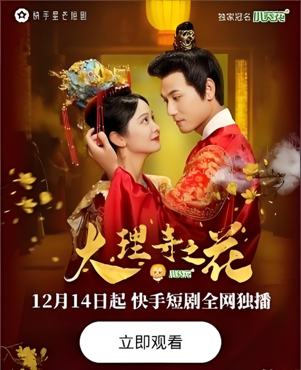 大理寺之花封面图