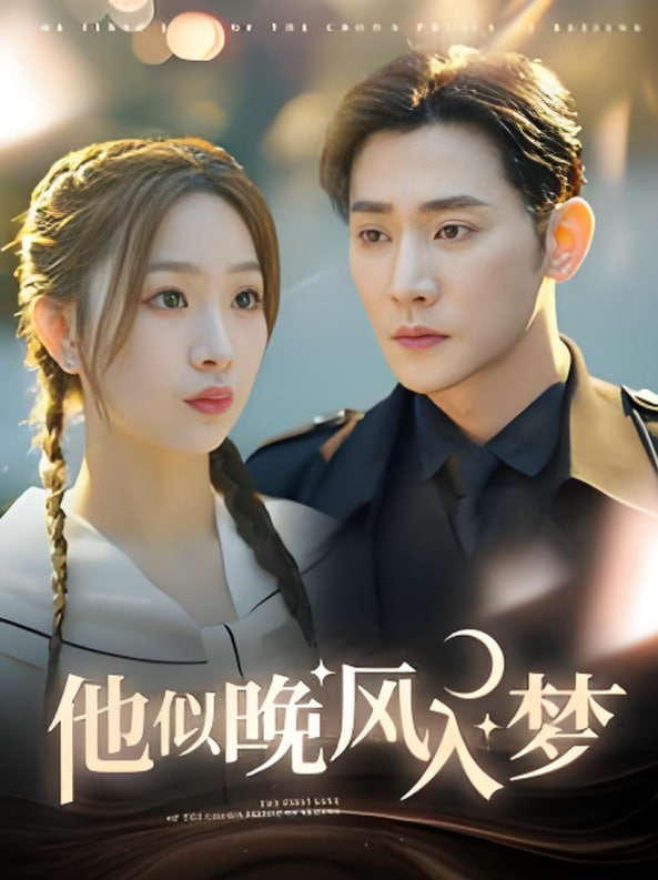 他似晚风入梦封面图