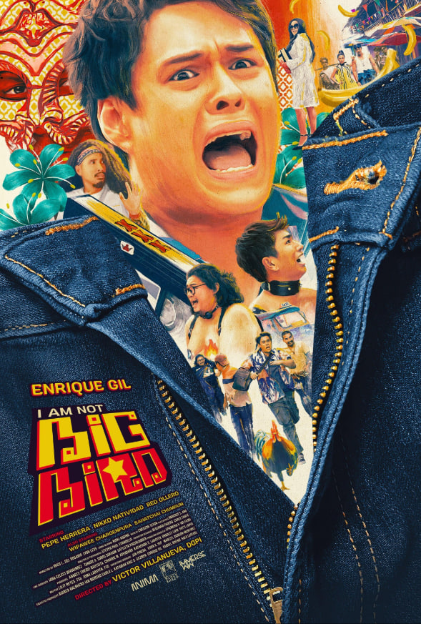 I Am Not Big Bird封面图