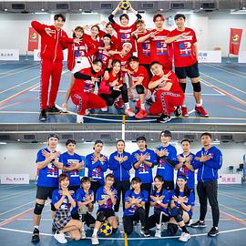 全明星运动会第四季封面图