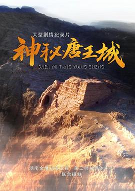 神秘唐王城封面图