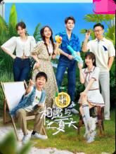 相遇的夏天封面图