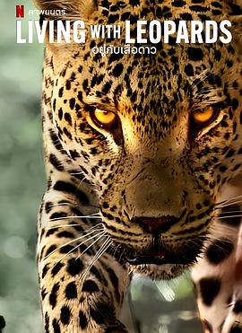 豹崽同行封面图