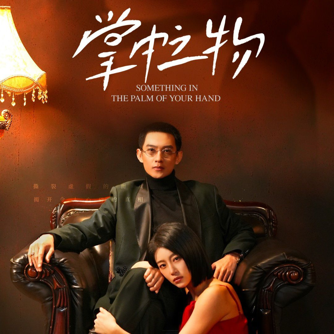掌中之物 2025封面图