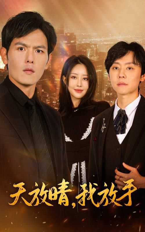 天放晴我放手封面图