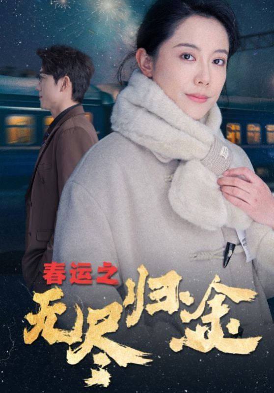 春运之无尽归途封面图