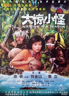 大惊小怪 2000封面图