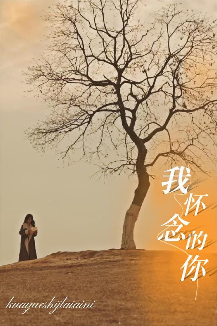 我怀念的你封面图