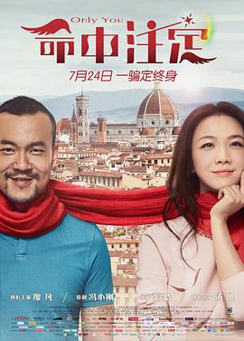 命中注定2015封面图