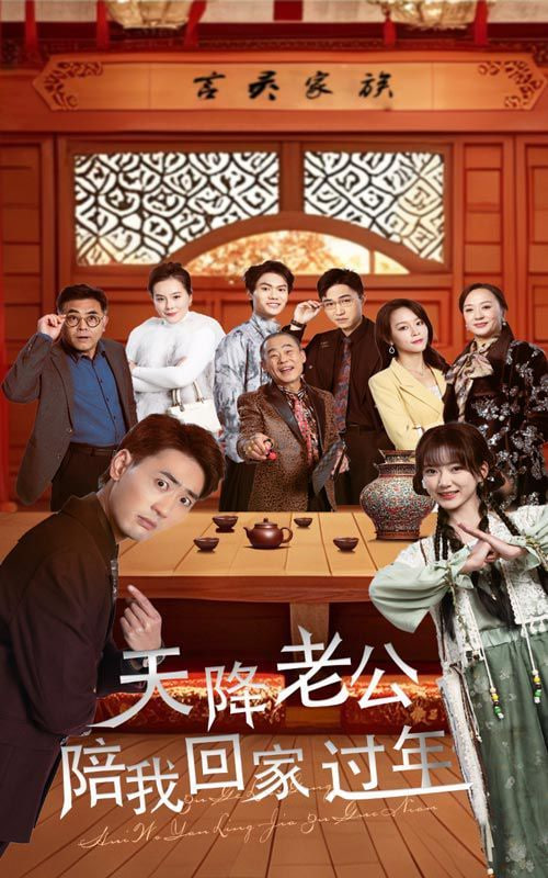 天降老公陪我回家过年封面图