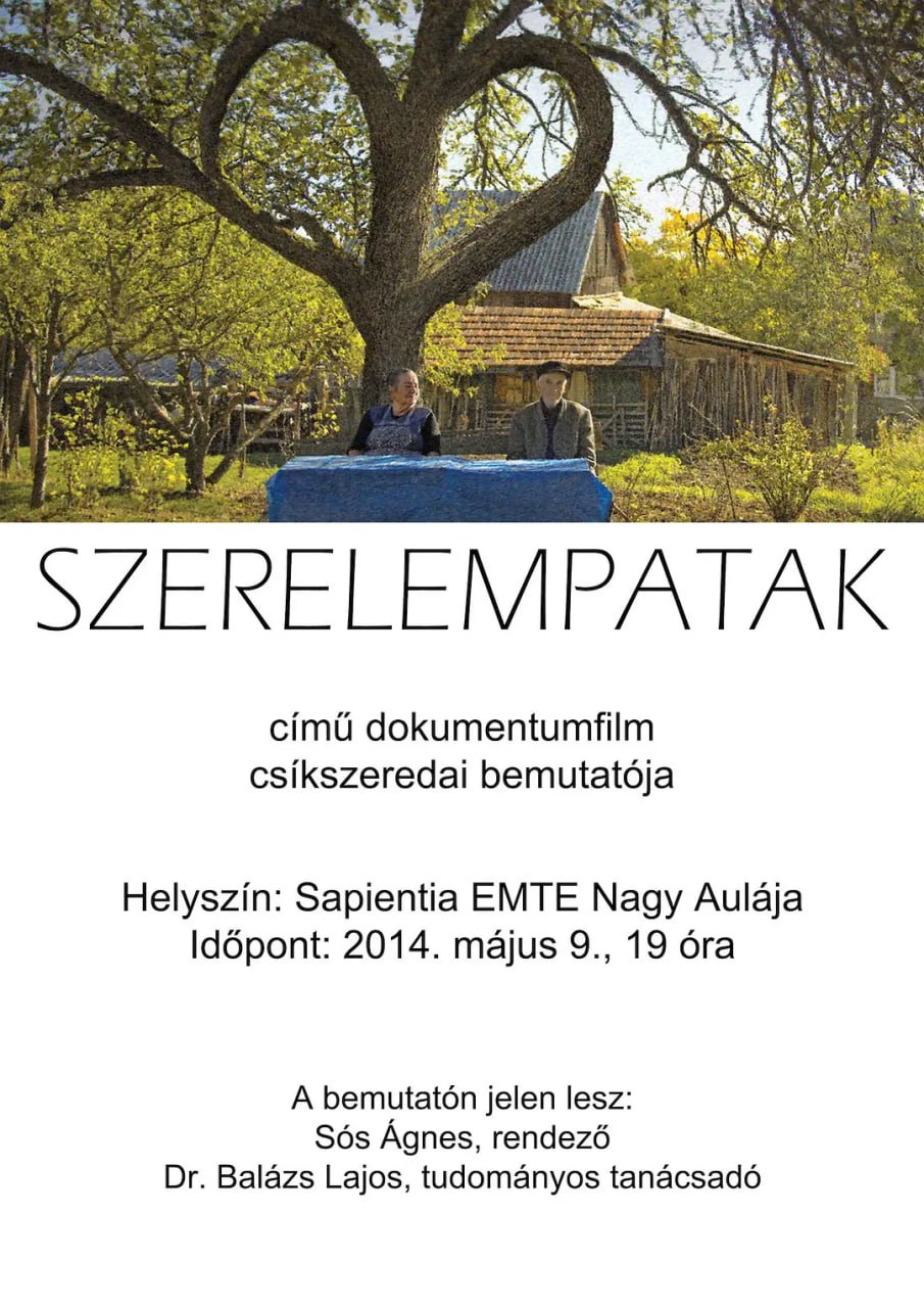 爱之溪流封面图