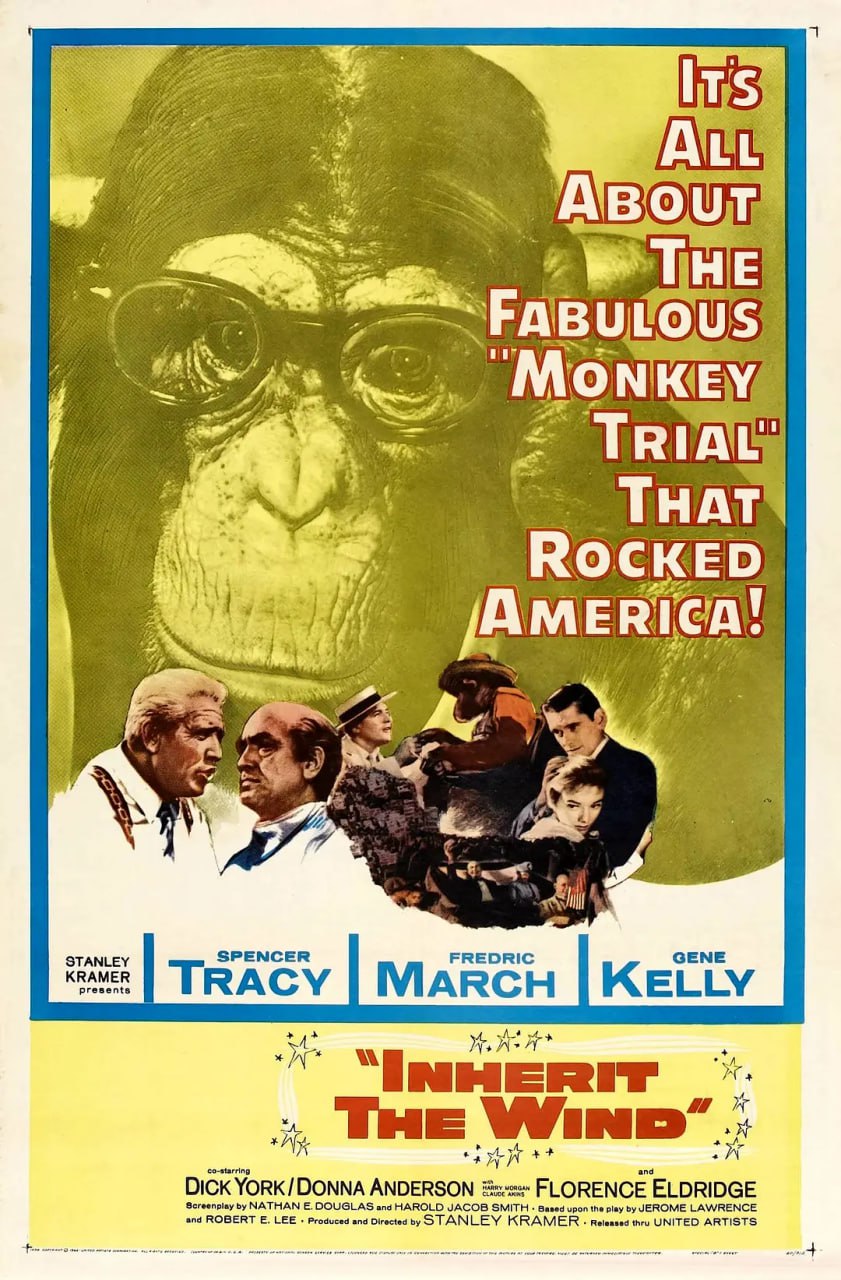 风的传人封面图