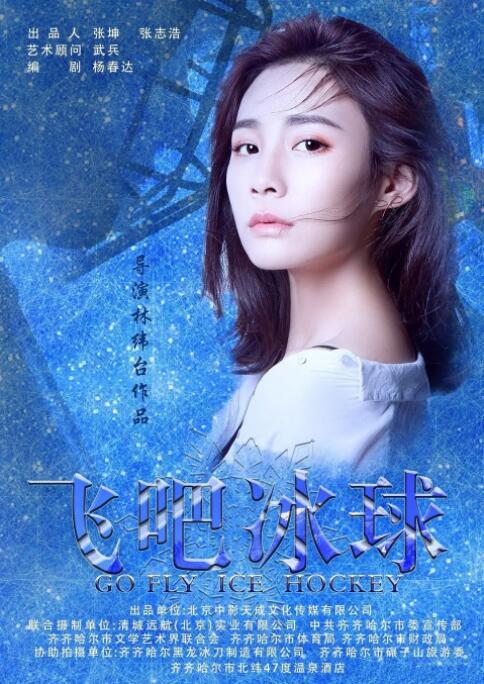 飞吧冰球封面图