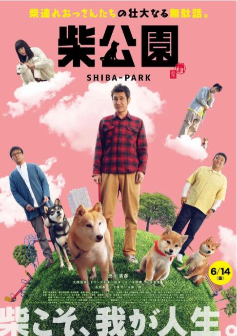 柴犬公园封面图