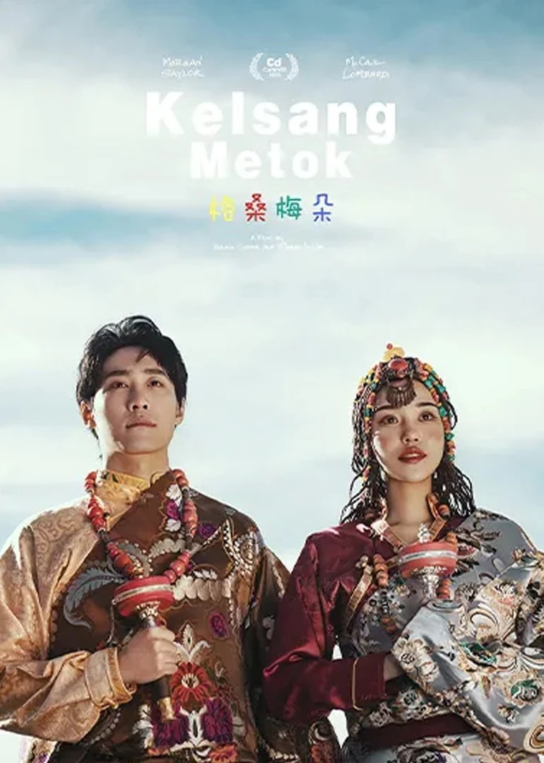 格桑梅朵 2011封面图