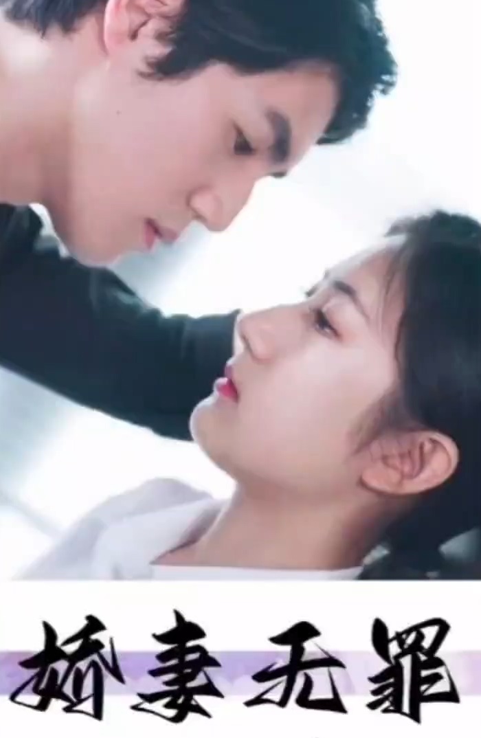 娇妻无罪封面图