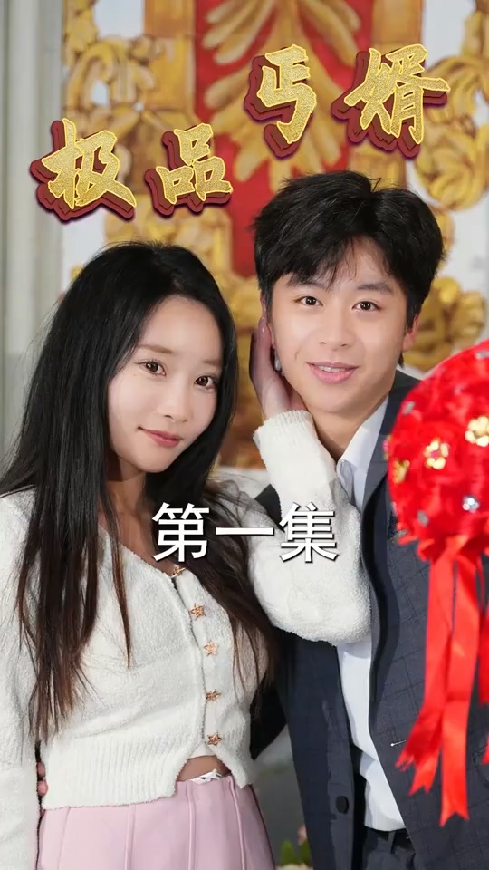 极品丐婿封面图