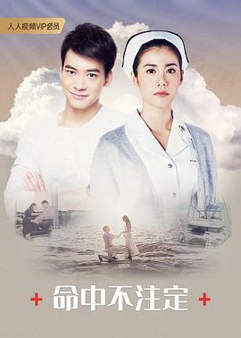 命中不注定普通话版封面图
