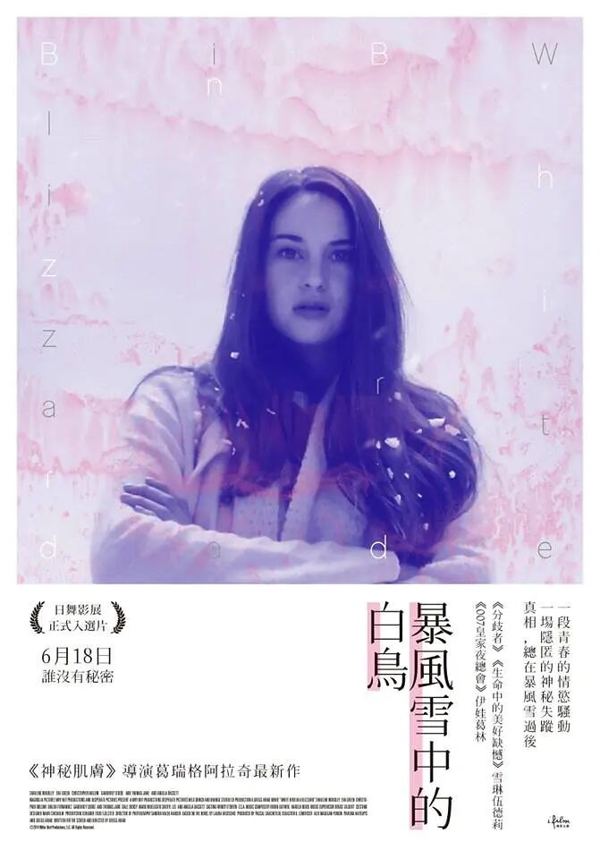 暴风雪中的白鸟封面图