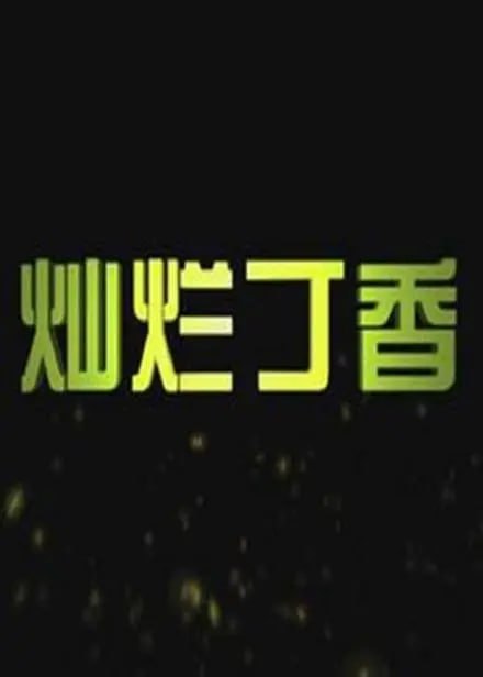 灿烂丁香 2011封面图