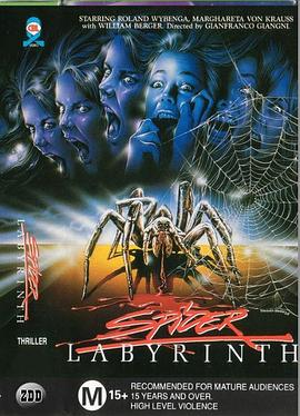 蜘蛛迷宫封面图