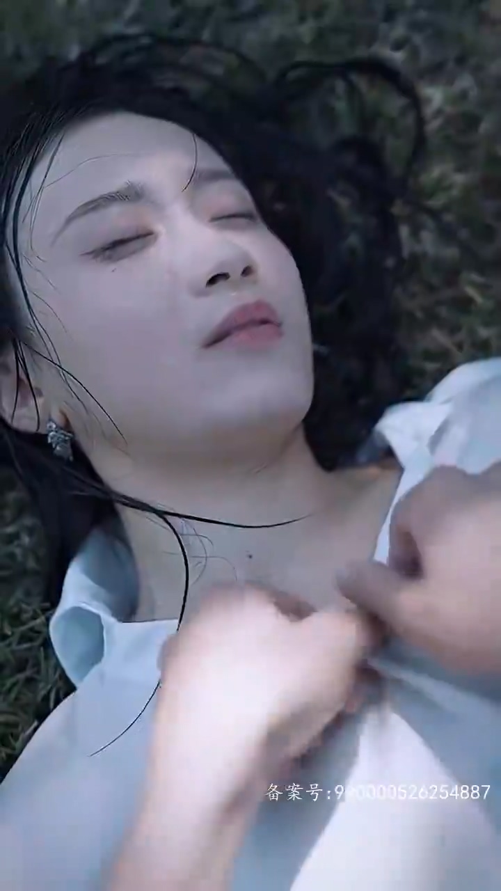 我在寒武纪元当城主封面图