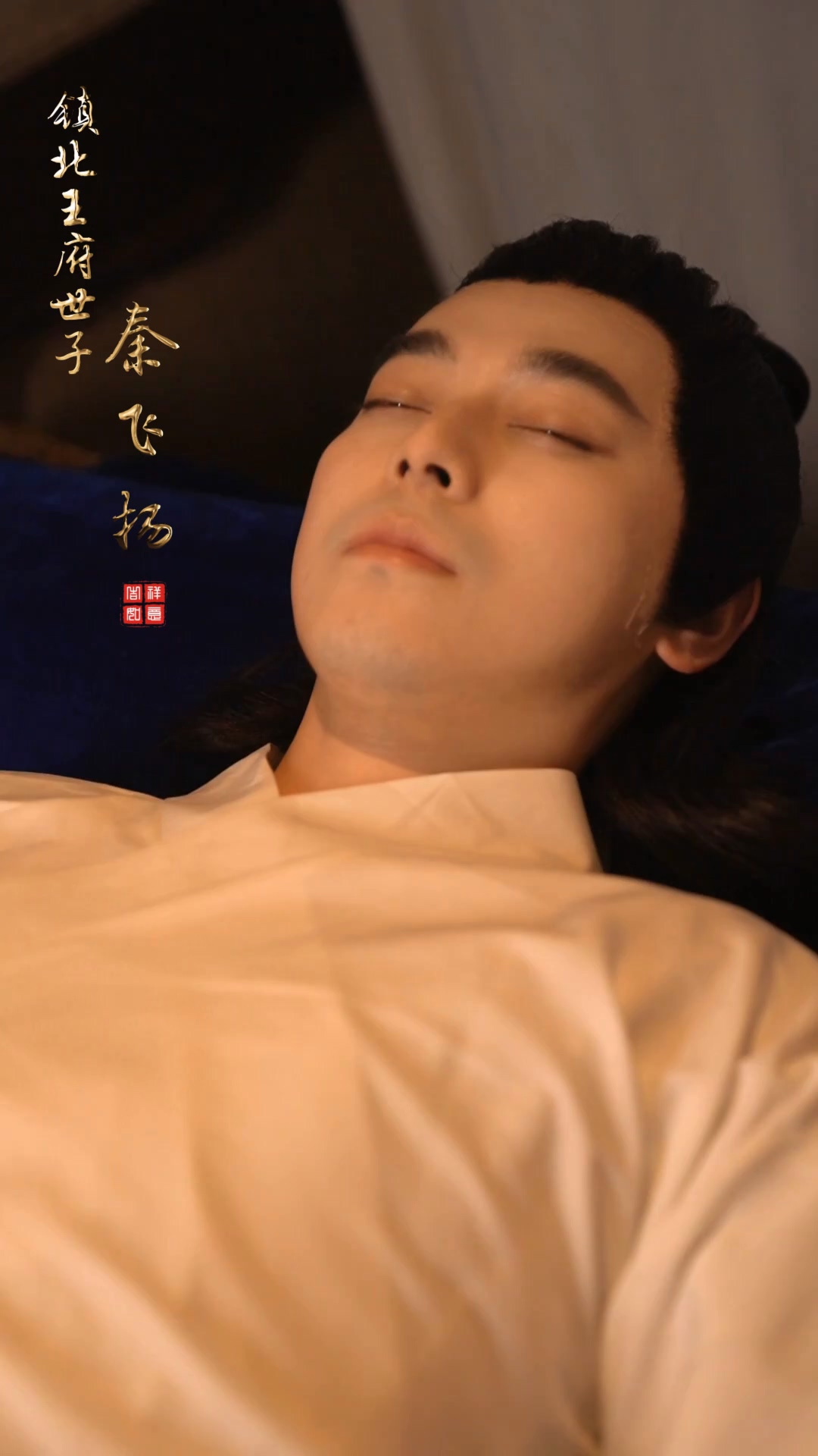 至尊驸马爷封面图